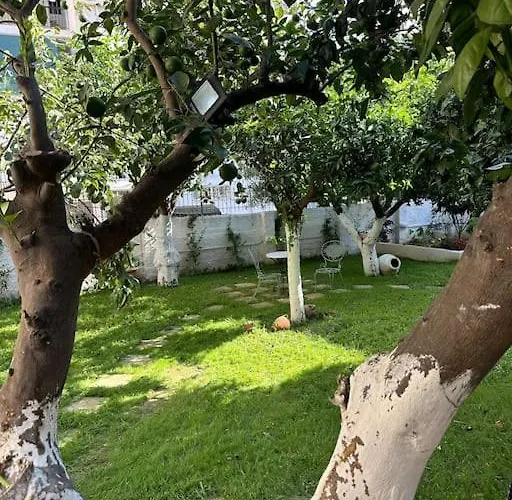 Detached House,with Courtyard And Fast Wi-fi In The Centre * Calamata